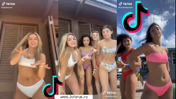 18+ Sexy Wonderland Tiktokporn Nudist Teen Amateur Girls asian - 18+ Sexy Wonderland Tiktokpor - Chestii funny